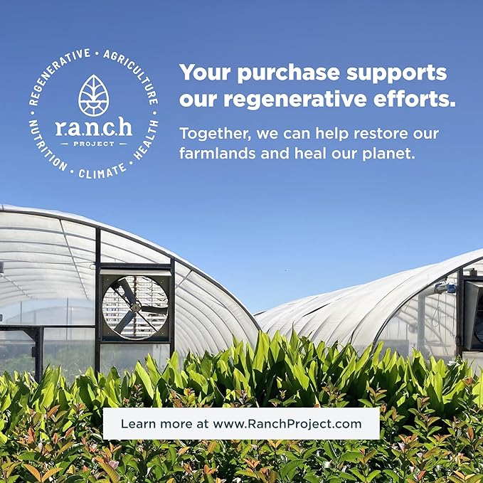 Ancient Nutrition Collagen Peptides Gummies Collagen Peptides Mixed Berry Chewable Gummies Supports Healthy Skin Joints Gut Keto and Paleo Friendly 45 Count 500mg Collagen per Serving