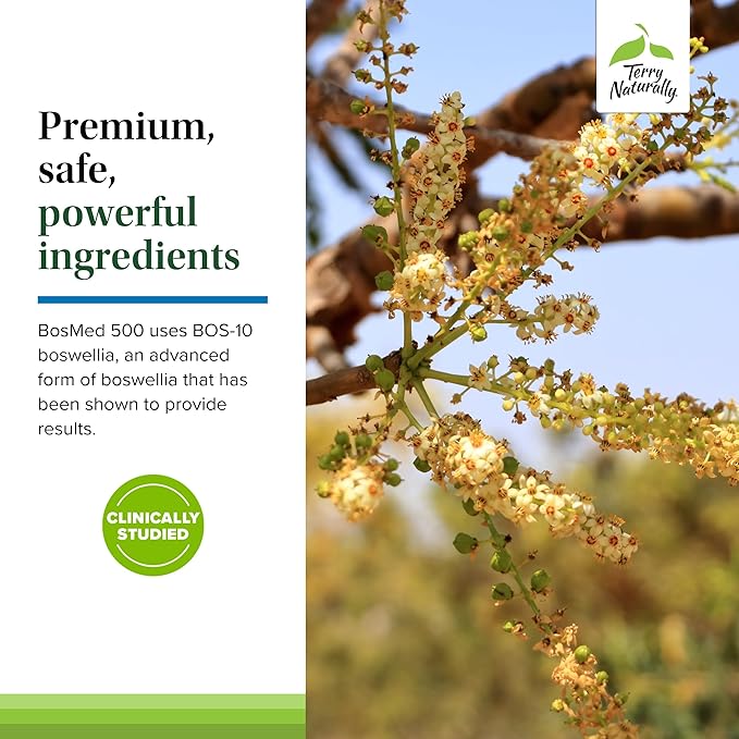 Terry Naturally BosMed 500-60 Softgels - Extra Strength 500 mg Boswellia Supplement - Non-GMO Gluten Free - 60 Servings