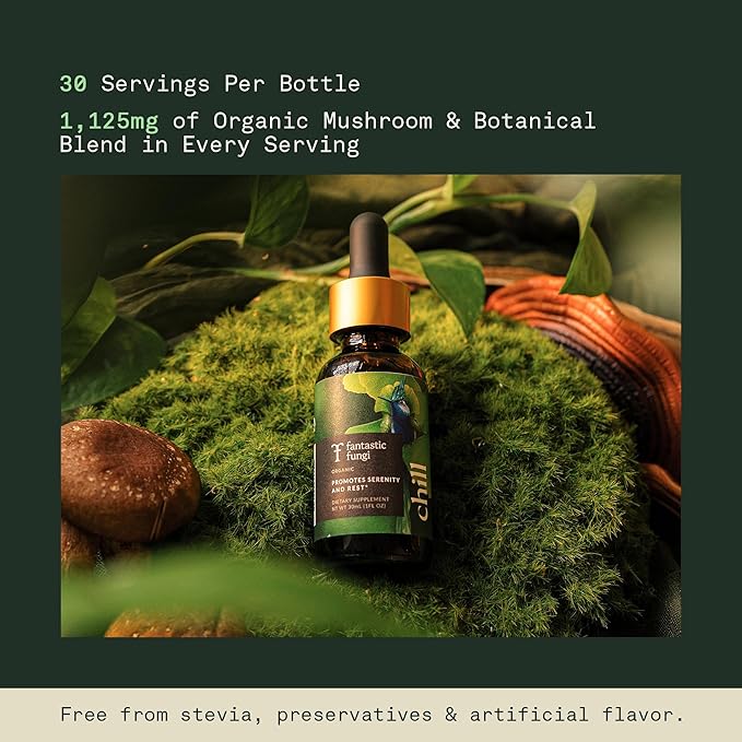 Fantastic Fungi Reishi Mushroom Extract Drops - Chill Elixir Mushroom Tincture with Holy Basil Shiitake &amp Vervain - 4-in-1 Organic Mood Support Supplement for Relaxation &amp Calm 30 Servings
