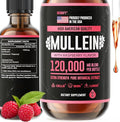 HERBIFY Mullein Drops - Lung Cleanse - Leaf Extract - Powerful Mullein for Immune Support Detox &amp Respiratory Support - Made in USA - 4 Oz Raspberry Flavor