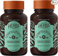 Herbs Etc. Lymphatonic Softgels - Lymph System Support - Support a Healthy Lymphatic System - Gluten-Free Herbal Supplement - 60 Softgels (60 Servings) - 2 Pack