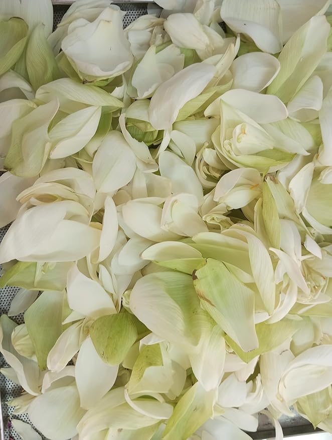FounditGood’s Pure 'White Lotus Tea' (Nelumbo nucifera) | Herbal Infusion | 100% Natural &amp Pure | Heart Health Support | 60 Dip Tea bags
