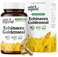 Wild &amp Organic Echinacea Goldenseal Capsules - Immune &amp Lung Support - Goldenseal Echinacea Supplement - Hydrastis Canadensis &amp Purpurea Complex - Vegan No Fillers Non-GMO - 60 Count
