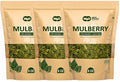 Mulberry Leaf Tea 8 Oz Dried Crushed Leaves Best Caffeine Free Tea - Way4Organic (8 Oz (3 Pack))