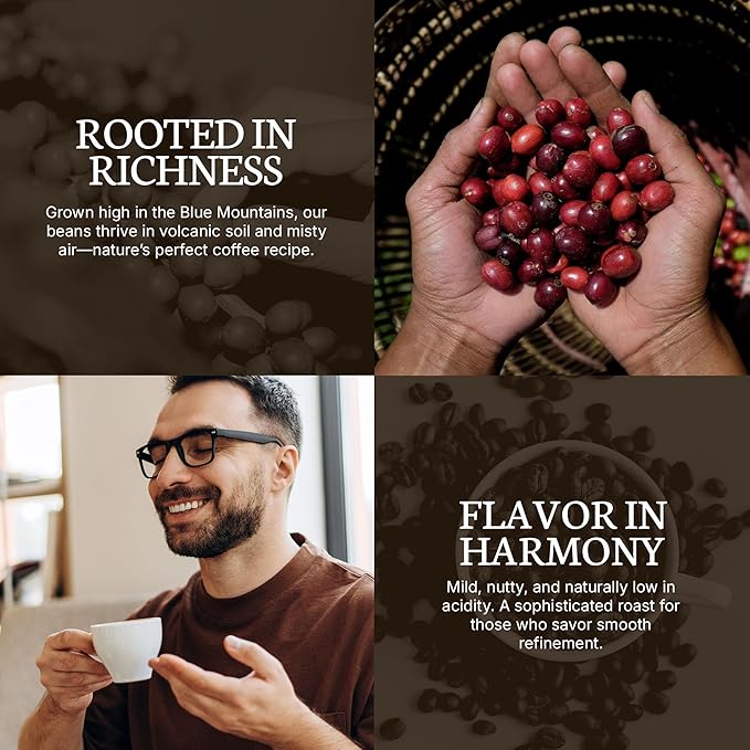 Dancing Moon Jamaica Blue Mountain® Premiere Blend Medium Roast WHOLE BEAN Coffee