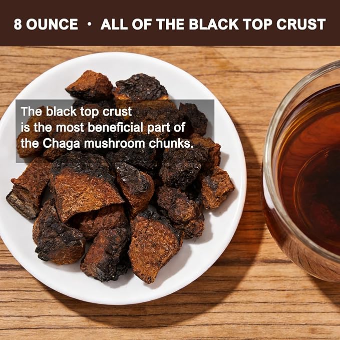 Chaga Mushroom Tea Chunks - 8 Ounce 100% Wild Harvested with Black Top Crust Premium &amp Clean Chaga Tea Chunks - Antioxidants Focus Healthy Drinks