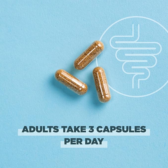 Ancient Nutrition Gut Health Supplement Regenerative Organic Certified Leaky Gut Capsules Formulated with Lion’s Mane Fermented Licorice Root and Spearmint Gluten Free Paleo and Keto Friendly 90