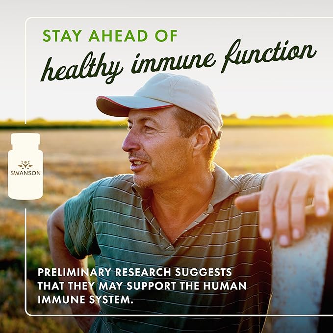 Swanson Maximum Strength Fucoidan Extract Immune Support Supplement for Adults Seeking Natural Immune Defense from Brown Seaweed - 500 mg (60 Vegan Capsules 2 Pack)