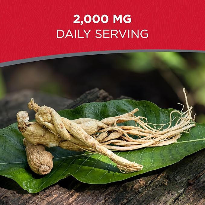 Dairyland American Ginseng Roots 西洋参 - 8 oz Pack of Wisconsin Ginseng Root - Authentic American Ginseng - Non-GMO Gluten Free Whole Ginseng - Use This Herbal Supplement in Soup Tea Congee