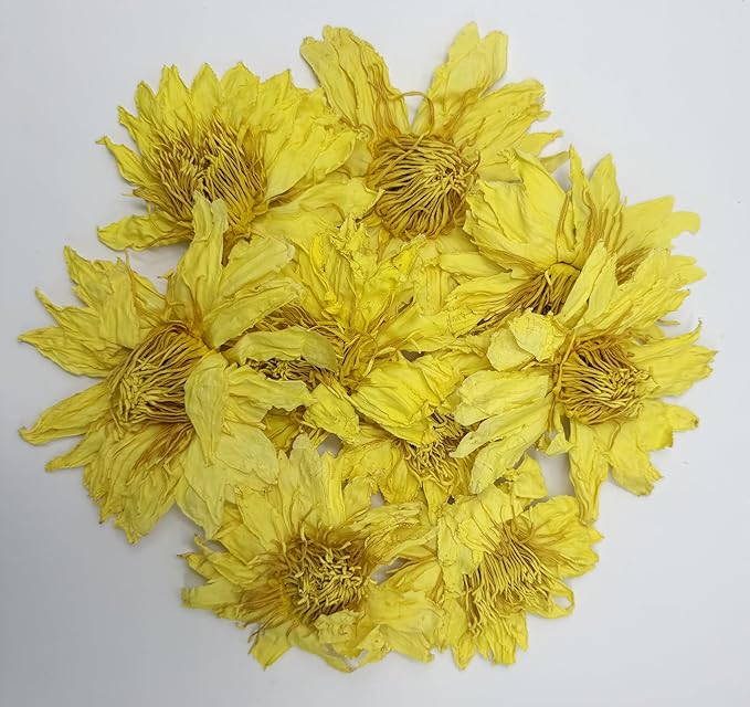 Premium Perfume Lotus Dried Natural Flowers Tea Whole Flower | Non GMO Caffeine-free | 1oz(28g)
