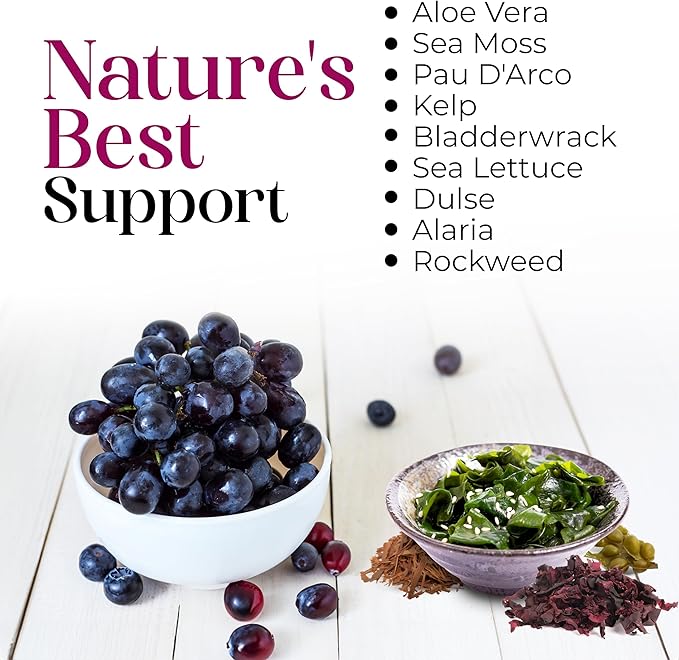 Nature’s Liquids - SeaAloe Liquid Whole Food (32 Oz) Liquid Multivitamin and Mineral Supplement With Aloe Vera Sea Vegetables Pau D’ Arco For Digestion Immune Support &amp Thyroid Function - 1