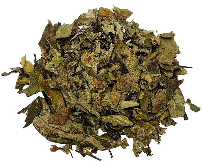 CIK Naturals Lungwort Herb Pulmonaria tea Herbal Infusions (100g) Zip-lock bag Pulmonaria officinalis