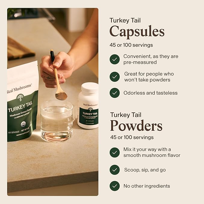 Real Mushrooms Turkey Tail Mushroom Powder – Organic Turkey Tail Extract from – for Wellness Gut Harmony &amp Energy Support – Vegan Non-GMO No Fillers – 100 Servings Functional Mushroom Suppleme