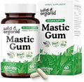 Wild &amp Organic Mastic Gum Capsules - 1000 mg Mastic Gum Supplement for Gut Support - 30 Days of Supply - 60 Vegan Resin Capsules - No Fillers Non-GMO Gluten-Free