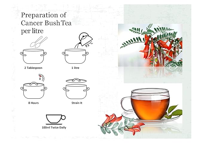 BIRGIT'S Cancer Bush Tea (Sutherlandia Frutescens)
