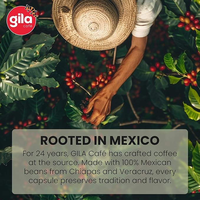 gila café Whole Beans Coffee Medium Roast Master Blend 32oz (1-Pack) - 100% Mexican Arabica Roasted Coffee Beans - Made with Coffeeberry - Chocolate Vanilla Hazelnut Notes
