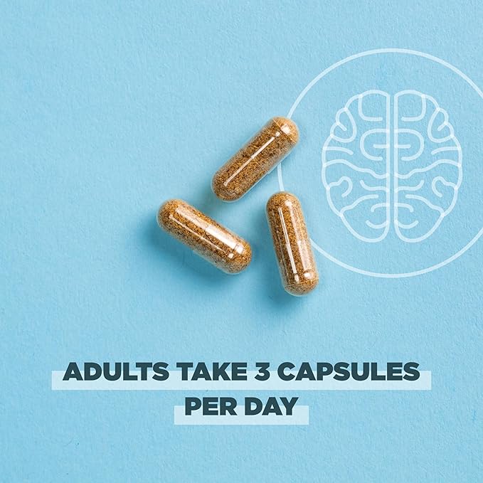 Ancient Nutrition Regenerative Organic Certified Focused Brain Capsules Made with Ginkgo Leaf Lion's Mane to Help Reduce Stress Gluten Free Paleo and Keto Friendly 90 Count