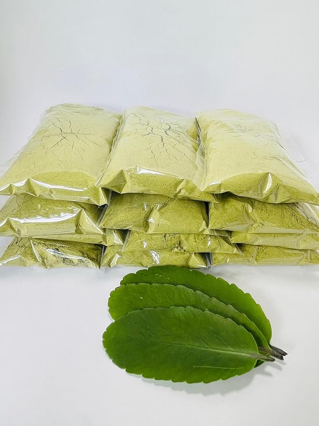 Organic Kalanchoe pinnata Leaves Powder 100g (Bryophyllum Pinnatum) Miracle leaf air plants Herbal Powder - Ceylonwood Herbals