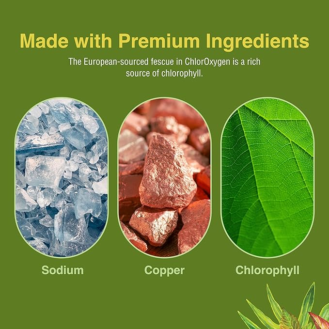 Herbs Etc. ChlorOxygen Chlorophyll Concentrate - Highly-Concentrated Energy Support - Aids Healthy Blood Circulation - Natural Vitality Support - Alcohol-Free - Mint 2 fl oz (About 132 Servings)
