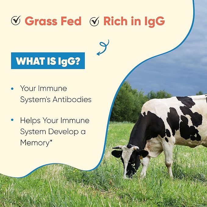 Sandhu's Grass Fed Bovine Colostrum Powder for Humans Adults | 30 Servings (Pack of 1) Cows Supplement | High IgG for Gut Health | Immunity &amp Muscle Recovery Support | Unflavored | for Men &amp