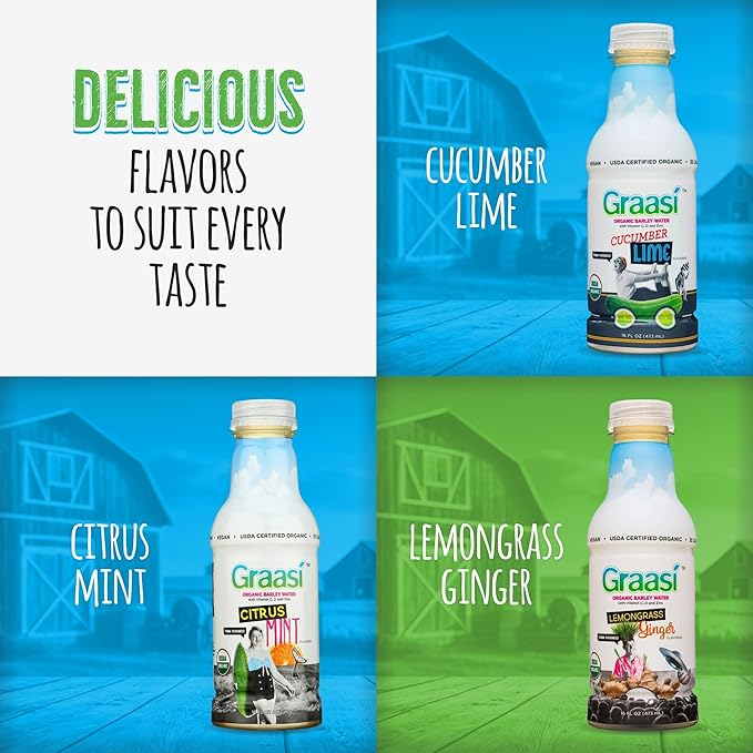 Graasi Organic Barley Grass Water | Hydration Drink with Vitamin C D Zinc | USDA Organic Non-GMO Vegan | Low-Calorie Wellness Beverage | Lemongrass Ginger | 12 Pack (16 Fl Oz Bottles)