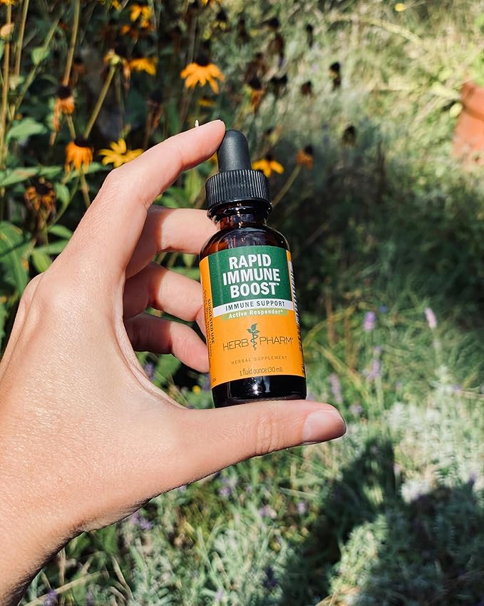 Herb Pharm Organic Rapid Immune Boost: Fast-Absorbing Tincture for Adults Echinacea Tincture with Goldenseal Ginger Extract &amp Elderberry Immune Support Supplement &amp Wellness Aid 4 Oz
