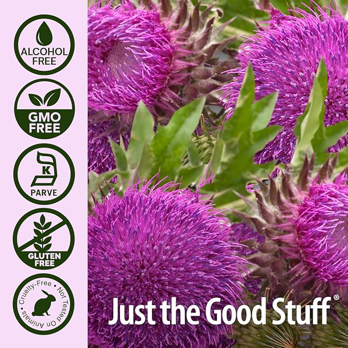 Nature's Answer Milk Thistle 2 Ounce Extract - Alcohol Free Non GMO Liver Support Supplement for Everyone - Liver Detox Made in USA
