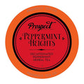 Prospect Tea Co. Peppermint Heights Herbal Tea Pods Compatible with K Cup Brewers Including 2.0 40 Count
