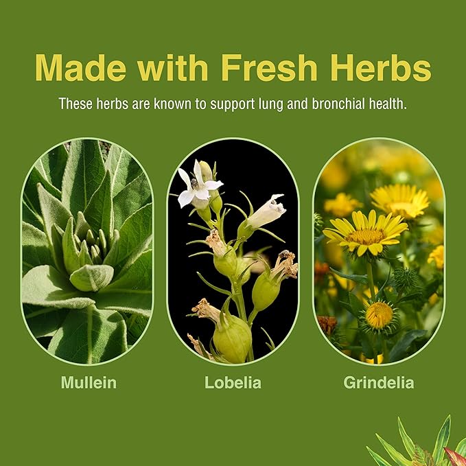 Herbs Etc. Lung Tonic - Lung Supplement for Bronchial Support - Healthy Breathing Support with Mullein Horehound &amp Grindelia - 120 Softgels - 2 Pack