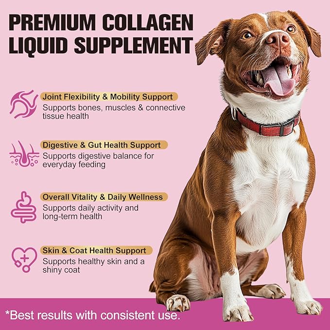 Liquid Collagen for Dogs &amp Cats - Grass-Fed Hydrolyzed - for Joint Hip Skin &amp Coat Nutritional Support