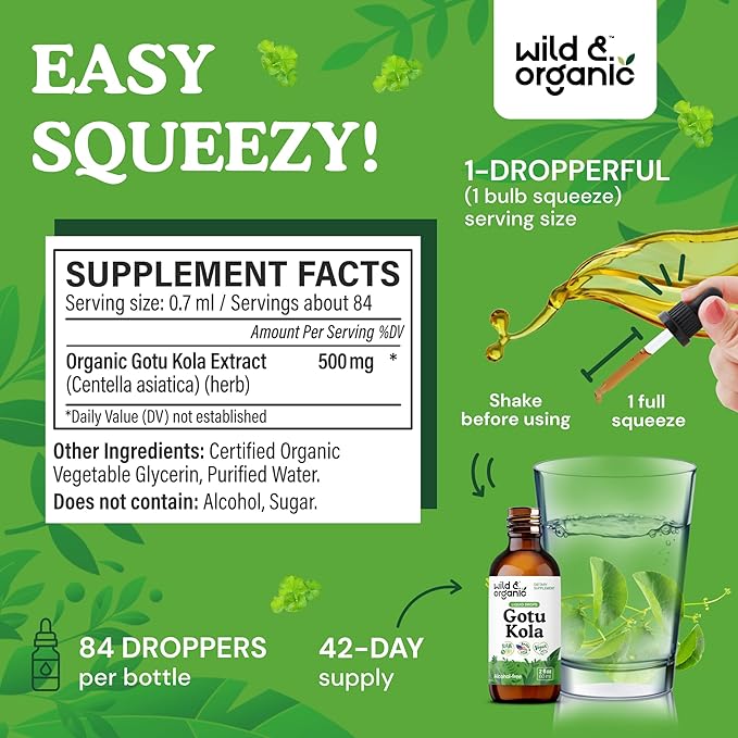 Wild &amp Organic Gotu Kola Herb Tincture - Brain Support - Gotu Kola Liquid Extract Drops - Vegan Sugar &amp Alcohol-Free Centella Asiatica Supplement - 2 fl oz