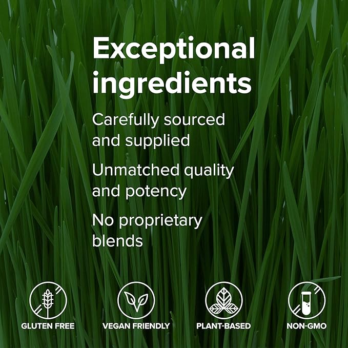 Vibrant Health Green Vibrance Packets Travel-Friendly Vegan Superfood Powder 15 Packets