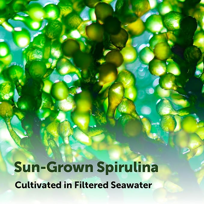 Micro Ingredients Organic Spirulina Supplement 720 Tablets (4 Month Supply) No Filler &amp Non-GMO Rich in Vegan Protein Vitamins &amp Prebiotics Premium Spirulina Pills
