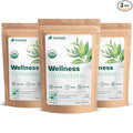 Herbaly Wellness Collection Tea - 8 Active Herbs - Improve General Health Strengthen Immunity - Natural Organic Non-GMO Vegan Sugar Free - 3 Pack 84 Pyramid Tea Bags
