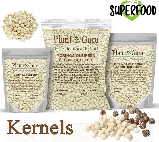 Moringa Seeds Kernel Shelled 2 lbs. Wide Mouth Jar - Clean PKM1 Variety - Edible - Moringa Oleifera - Malunggay - Semillas De Moringa - Drumstick Tree - Non-GMO - 4000 to 4800 Seeds Approx.