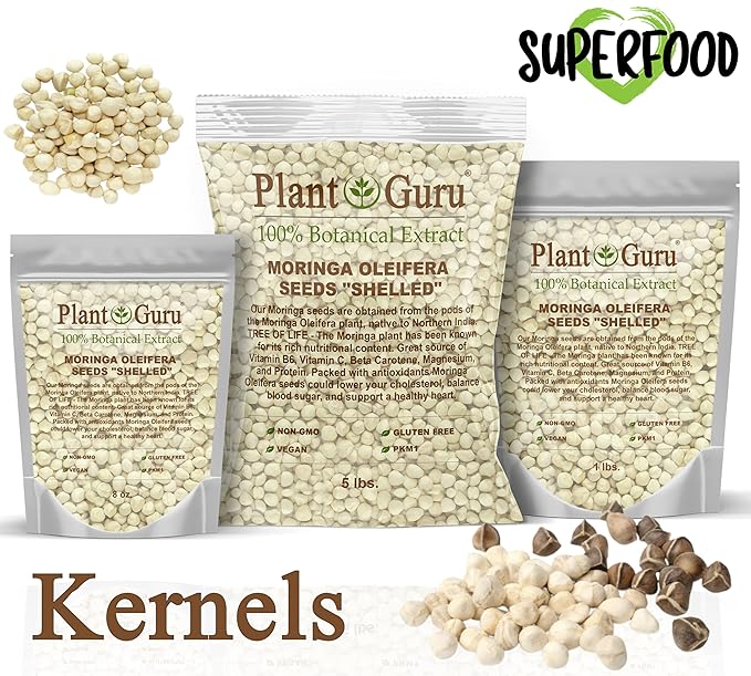 Moringa Seeds Kernel Shelled 16 oz. / 1 lb. - Clean PKM1 Variety - Edible - Moringa Oleifera - Malunggay - Semillas De Moringa - Drumstick Tree - Non-GMO - 2000 to 2400 Seeds Approx.