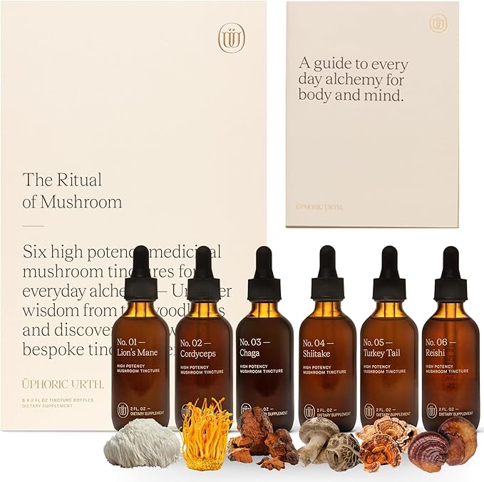 Mushroom Extract Tincture (Ritual of Mushroom)