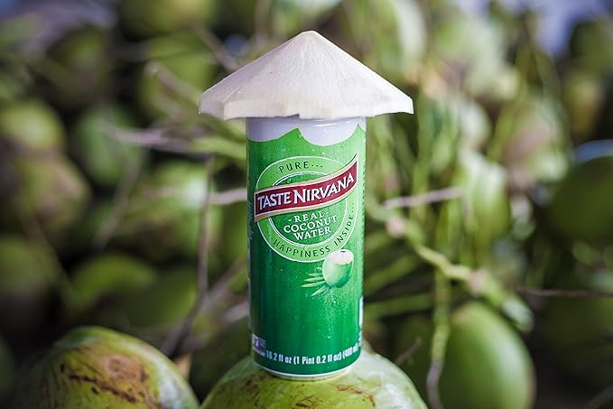 Taste Nirvana Real Premium 16.2 Ounce Cans Coconut Water 194.4 Fl Oz (Pack of 12)