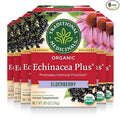 Traditional Medicinals Tea Organic Echinacea Plus Elderberry Boosts the Immune System 96 Tea Bags (6 Pack)