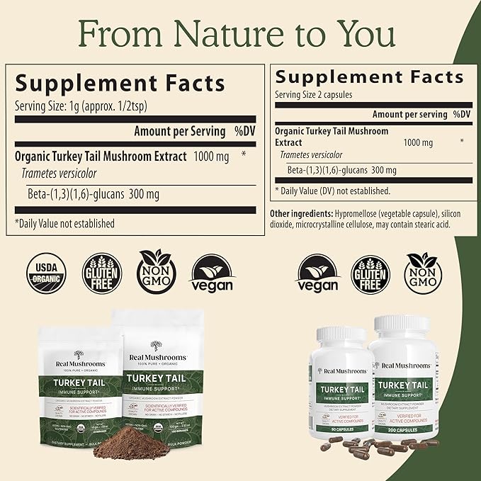 Real Mushrooms Turkey Tail Capsules – Organic Mushroom Extract for Wellness &amp Daily Rhythm – Vegan Non-GMO No Fillers Turkey Tail Extract – 90 Count Mushroom Supplement (Pack of 2)