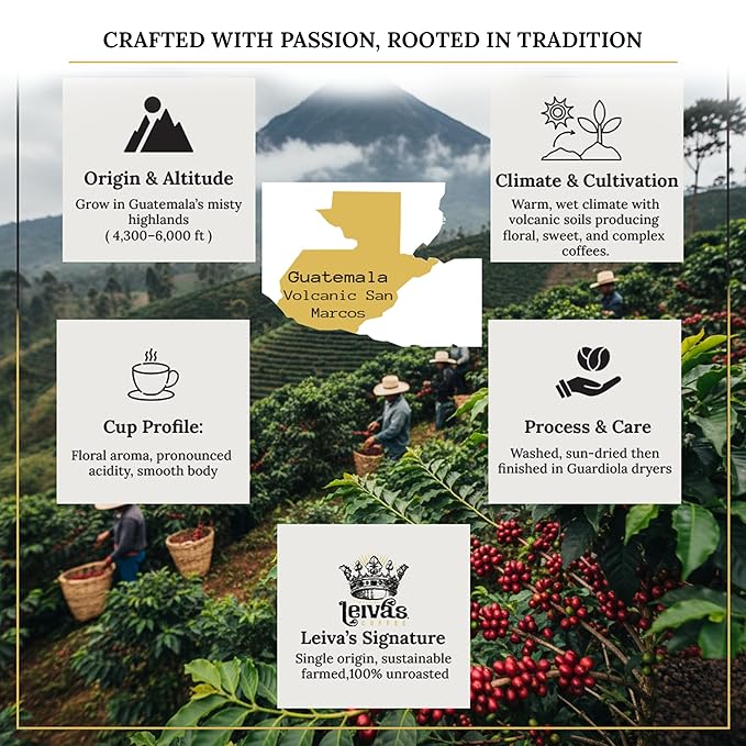 Leiva’s Unroasted Green Coffee Beans (1kg) – Volcanic San Marcos Single Origin Coffee w/Floral Notes – Washed Shade Grown Organic Guatemala Beans – Lively Acidity Whole Bean Unroasted Blend