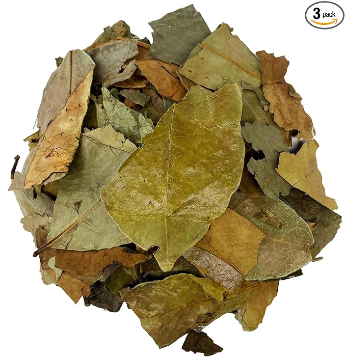 Soursop Leaves Hojas de Guanabana Herbal Tea Value Pack (105g)