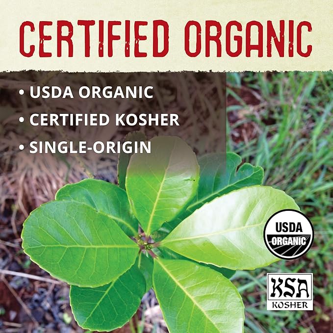 ECOTEAS Premium Organic Yerba Mate Tea Bags – Natural Energy &amp Detox Herbal Tea – Coffee Alternative - Kosher Non-GMO Gluten-Free - 100 Unsmoked Bulk Bags 8.8 oz (Pack of 1)