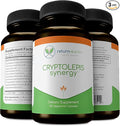 Cryptolepis Synergy Immune Support Vitamins Immune System Booster for Adults Liver Lymphatic &amp Immune Support Supplement Supports Lyme &amp Natural Parasite Defense 120 Capsules 3 Pack