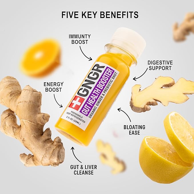 +GNGR Gut Health Shot – Prebiotic and Probiotic for Women &amp Men - Digestive &amp Immune Support Organic Ginger Shot with Apple Cider Vinegar Turmeric Aloe Vera 2 fl oz (12-Pack)