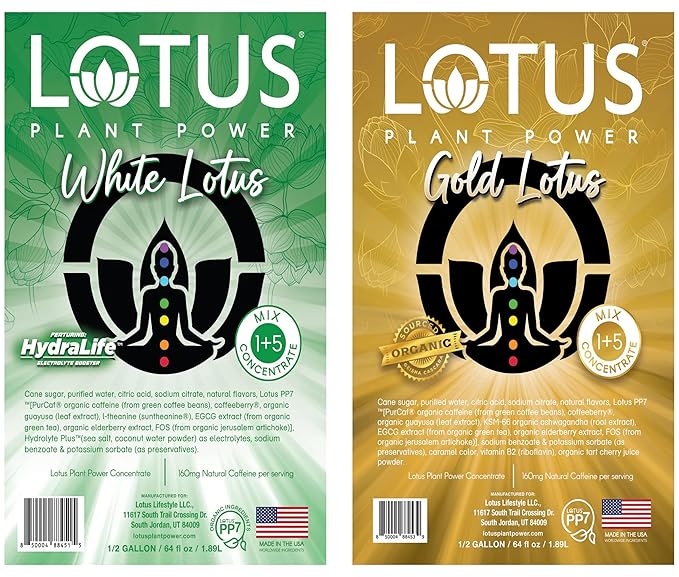 Lotus Energy Drink Concentrate 64 fl oz (White &amp Gold) Pack of 2