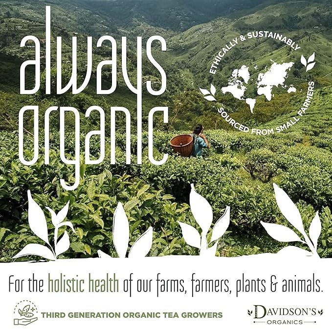 Davidson's Organics Moringa Hibiscus Watermelon 100-count Individually Wrapped Tea Bags