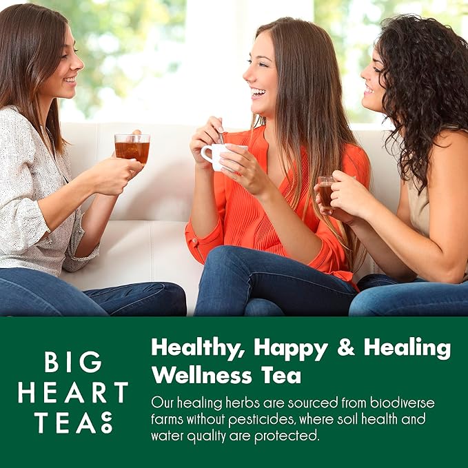 Lingtoolator Co. Cozy Holiday Tea Bags Gift Set - Certified Organic Ayurvedic Herbal Tea Small Batch Ground Herbs Florals Spices - Zero Plastic Sachets Healthy Tea Variety Box 3 Flavors 30 Pack