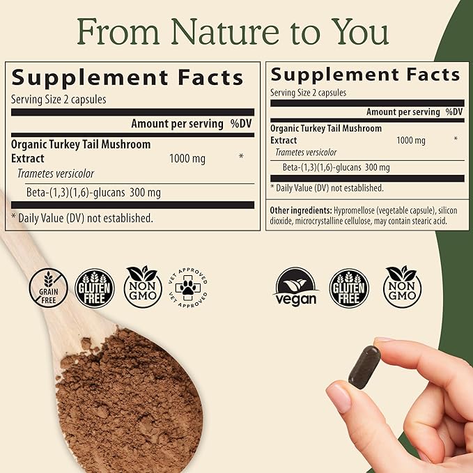 Real Mushrooms Turkey Tail Mushroom Powder – Organic Mushroom Extract for Daily Wellness Gut Harmony &amp Energy Support with Beta Glucans – Vegan Non-GMO 45 Servings Functional Supplement