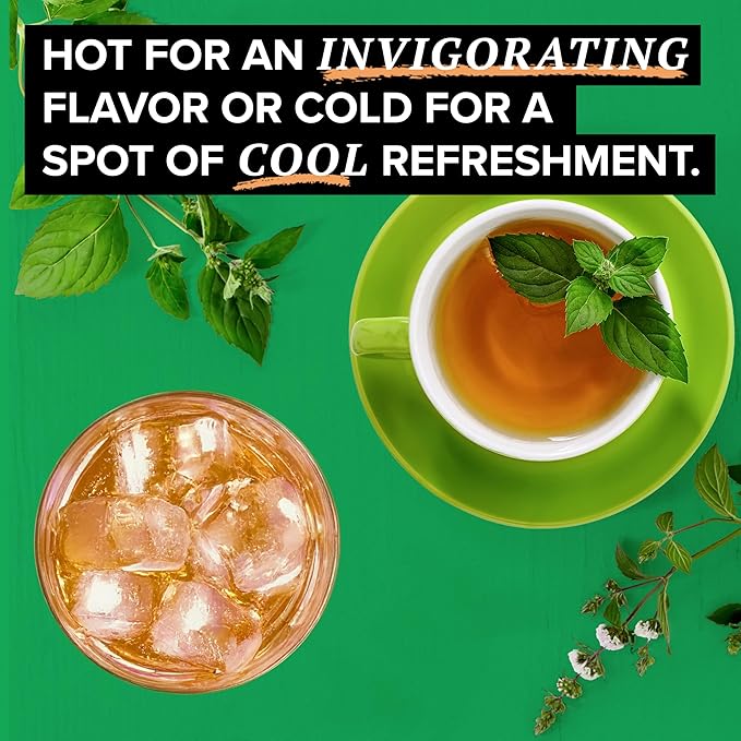 TAZO Refresh Mint Herbal Tea Bags with Peppermint and Spearmint Caffeine Free 96 Tea Bags (Pack of 2)